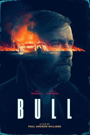 Bull's poster