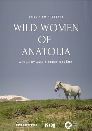 Wild Women of Anatolia's poster