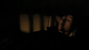 Dreams of the Castle's poster