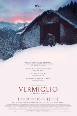 Vermiglio's poster