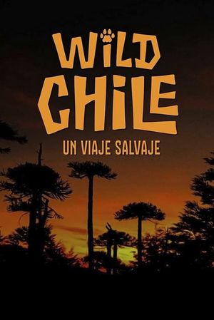 Chile: A Wild Journey - The Special's poster