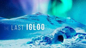 The Last Igloo's poster