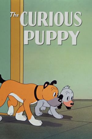 The Curious Puppy's poster