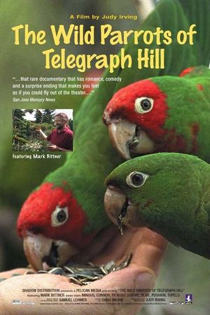 The Wild Parrots of Telegraph Hill's poster
