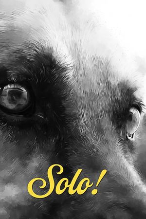 Solo!'s poster