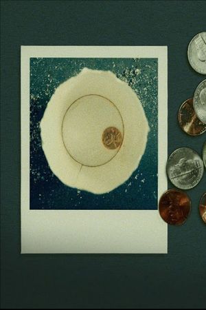 Bi-Polaroid's poster