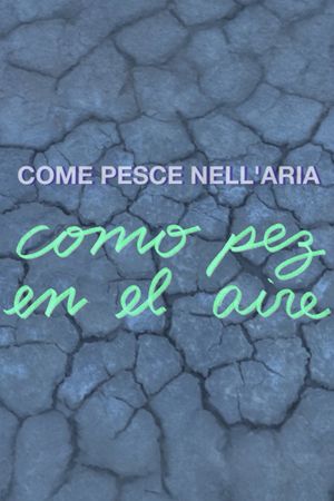 Como pez en el aire's poster image