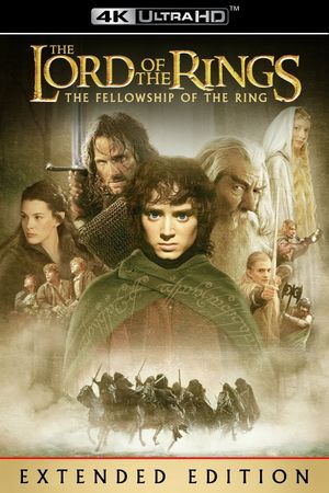 The Lord of the Rings: The Fellowship of the Ring's poster