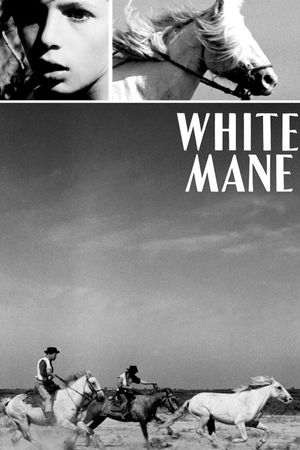 White Mane's poster