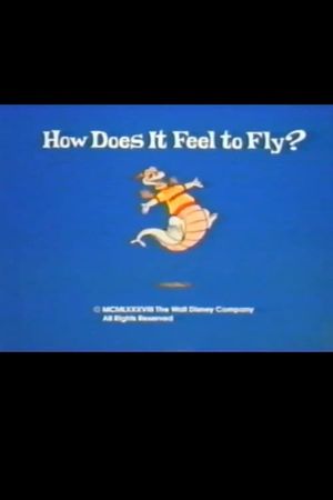 How Does It Feel to Fly?'s poster