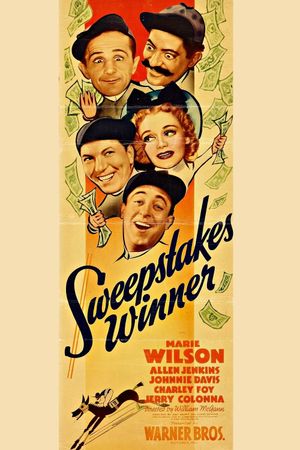 Sweepstakes Winner's poster