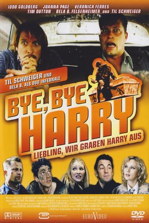 Bye Bye Harry!'s poster
