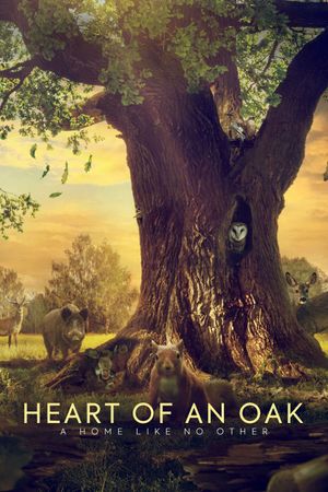 Heart of Oak's poster