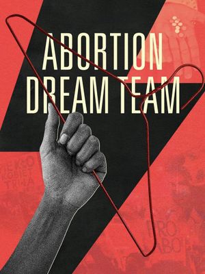 Abortion Dream Team's poster