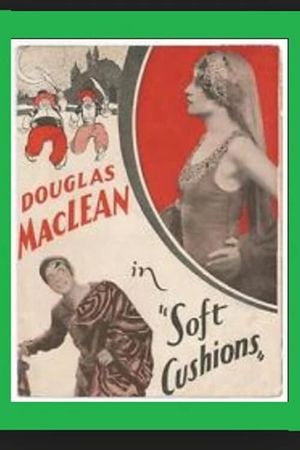 Soft Cushions's poster