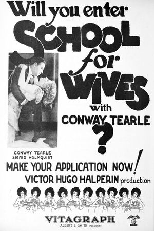 School for Wives's poster