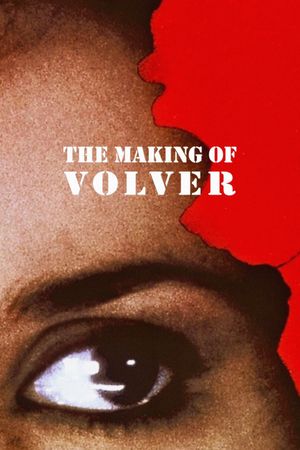The Making of Volver's poster