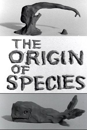 Clay or The Origin of Species's poster image