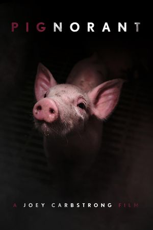 Pignorant's poster