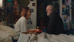 Lady Bird's poster