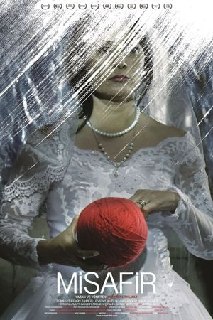 The Visitor's poster