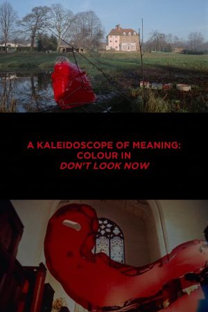 A Kaleidoscope of Meaning: Colour in Don't Look Now's poster image