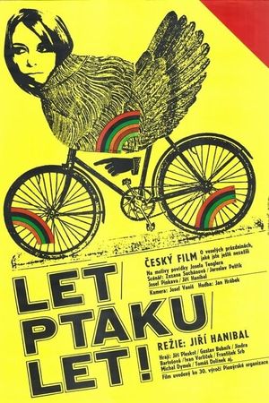 Fly, Bird, Fly!'s poster