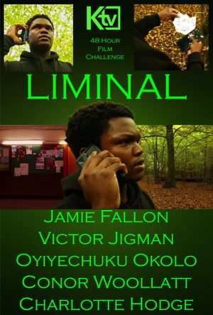 Liminal's poster