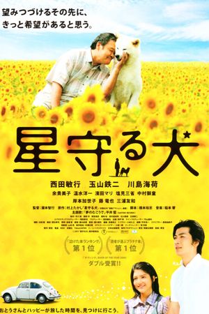 Star Watching Dog's poster