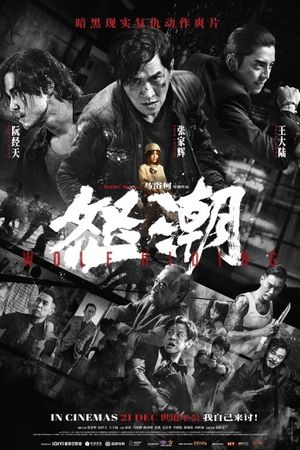 Wolf Hiding's poster