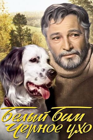 White Bim Black Ear's poster