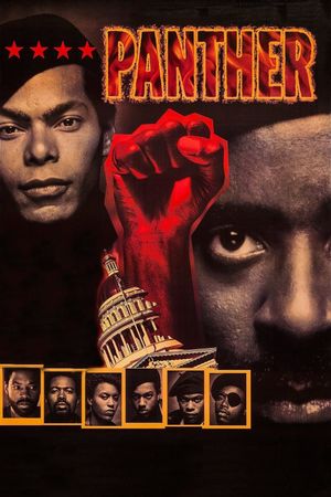 Panther's poster