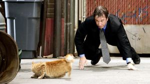 The Shaggy Dog's poster