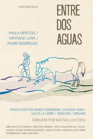 Entre dos aguas's poster