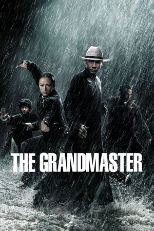 The Grandmaster's poster