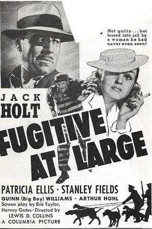 Fugitive at Large's poster