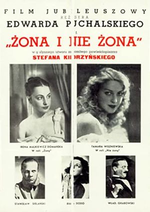The (Im)Perfect Wife's poster