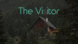 The Visitor's poster