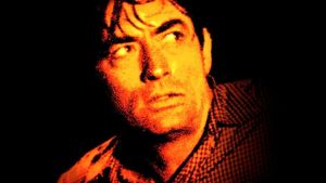 Cape Fear's poster