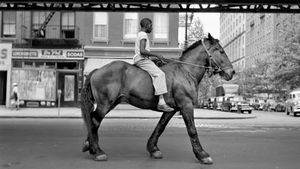 Finding Vivian Maier's poster