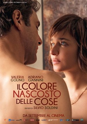 Il colore nascosto delle cose's poster