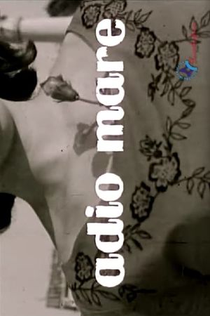 Adio mare's poster