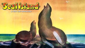 Seal Island's poster