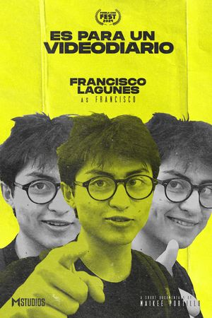 Es Para Un Videodiario's poster