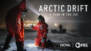 A Year in the Ice: The Arctic Drift's poster