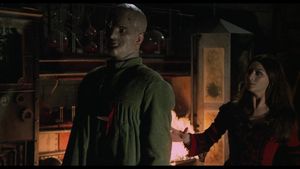 The Truth About Lady Frankenstein's poster