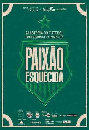 Paixão Esquecida: a história do futebol profissional de Maringá's poster image