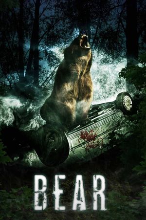 Bear's poster