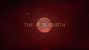 The Afterbirth's poster