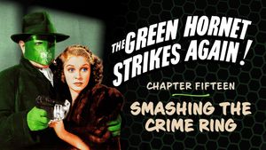 The Green Hornet Strikes Again!'s poster